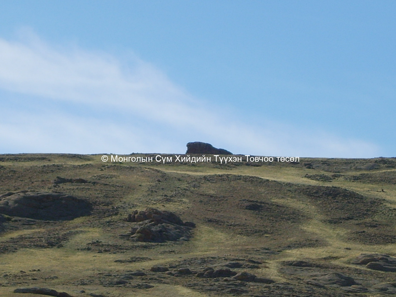 Баруун хойно орших биеэ хураасан бүргэдийн дүр бүх